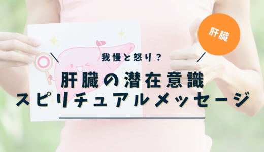 肝臓のスピリチュアルな意味とは？怒り・自己否定・自由意志が映す魂のサイン