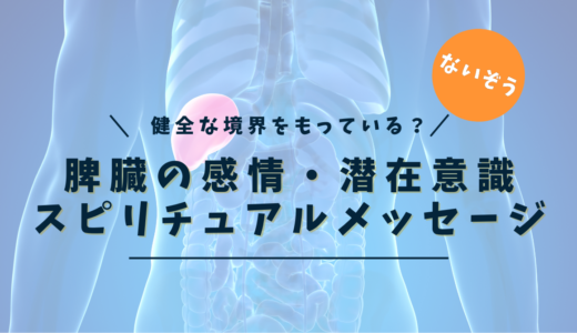 脾臓のスピリチュアルな意味とは？｜自己防衛・浄化・境界の再設定【最新版】