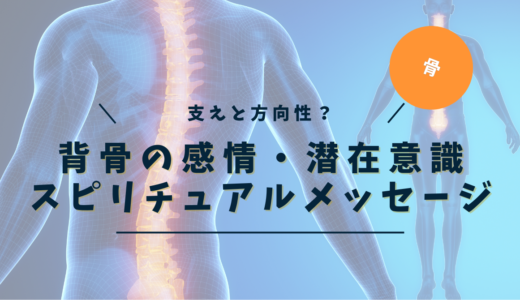 背骨のスピリチュアルな意味とは？｜痛み・歪み・ニキビが伝える魂の成長メッセージ【完全保存版】