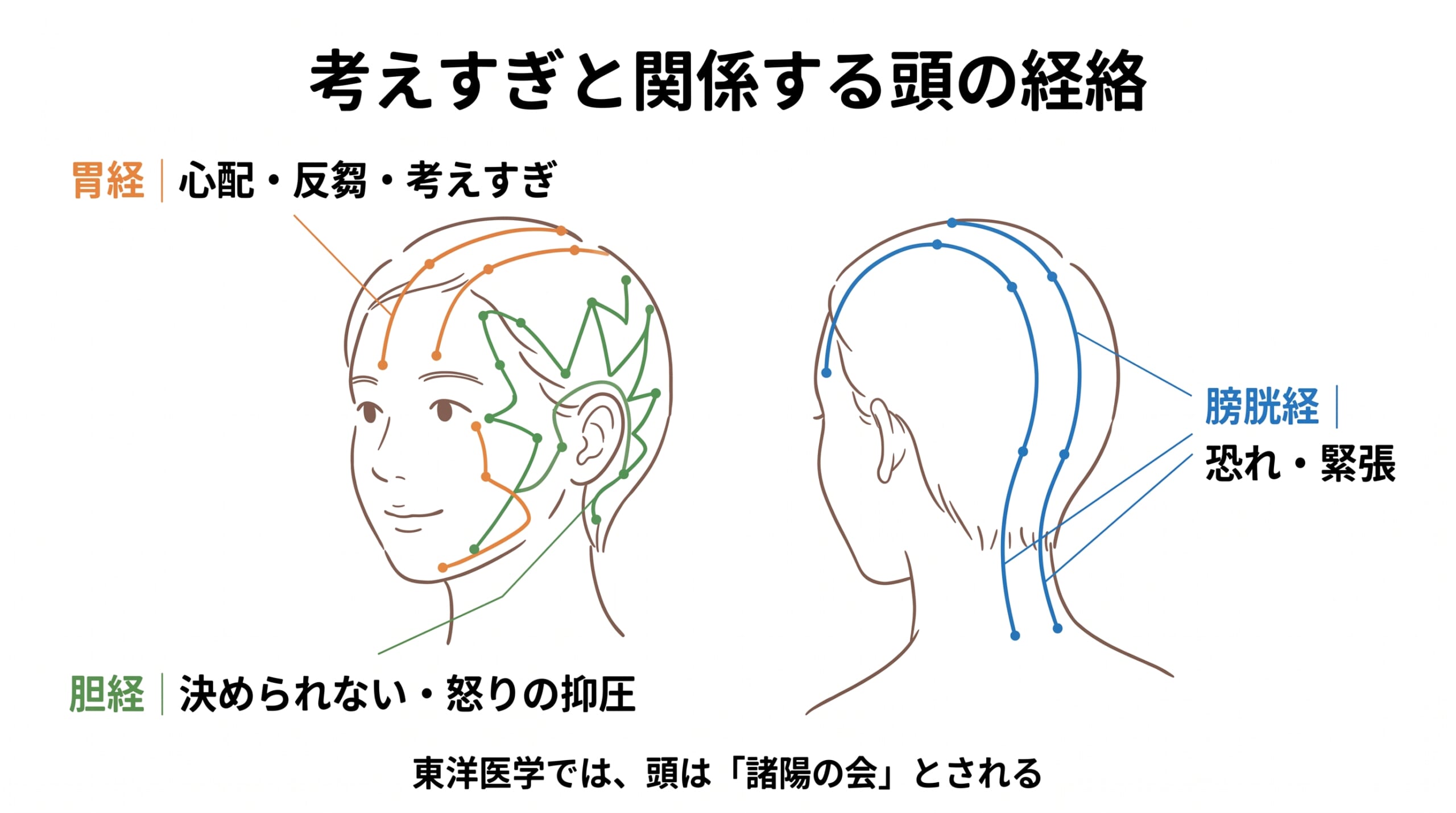 考えすぎと関係する頭の経絡（胃経・胆経・膀胱経）